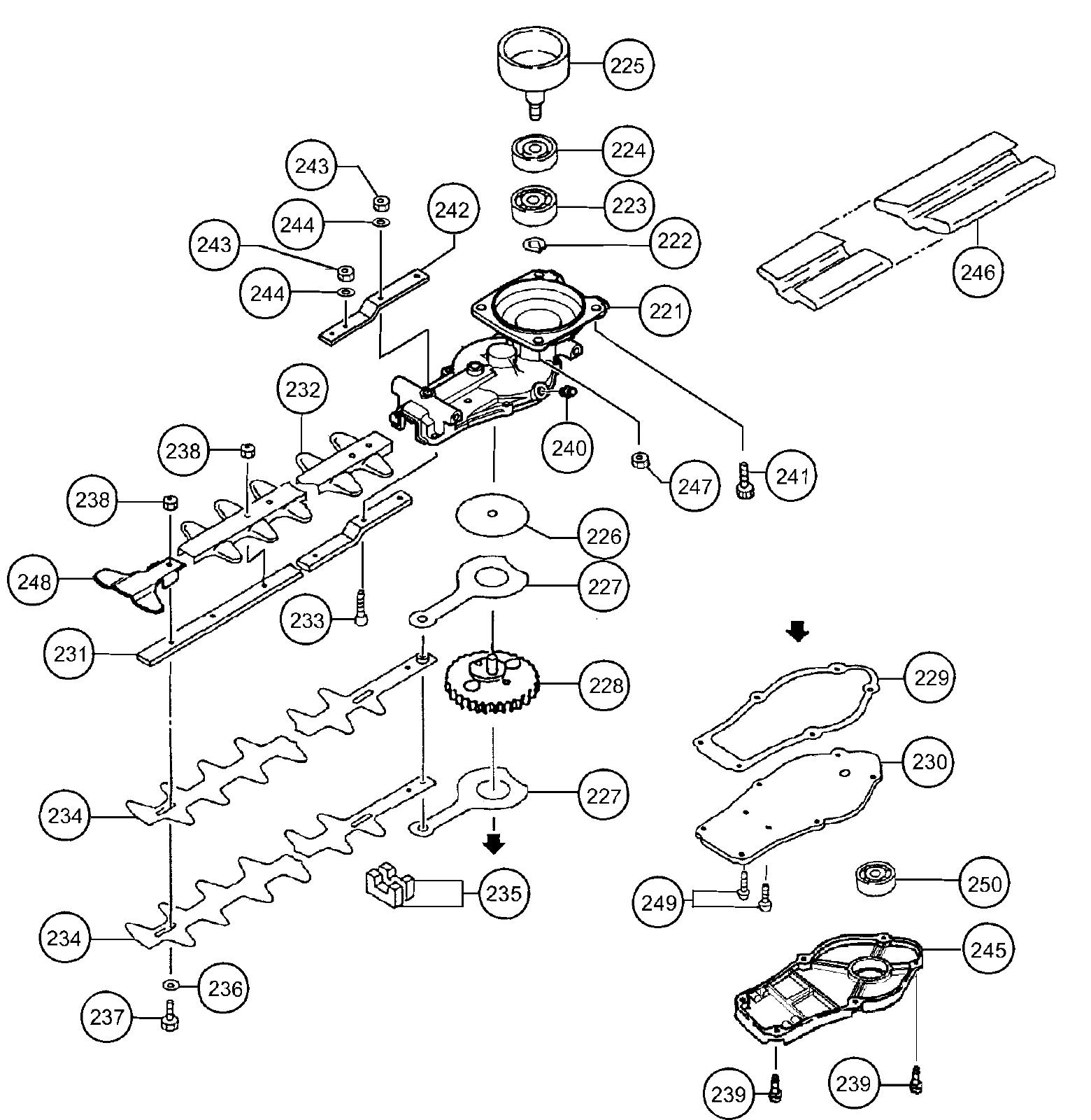CH78ED_page_06.jpg