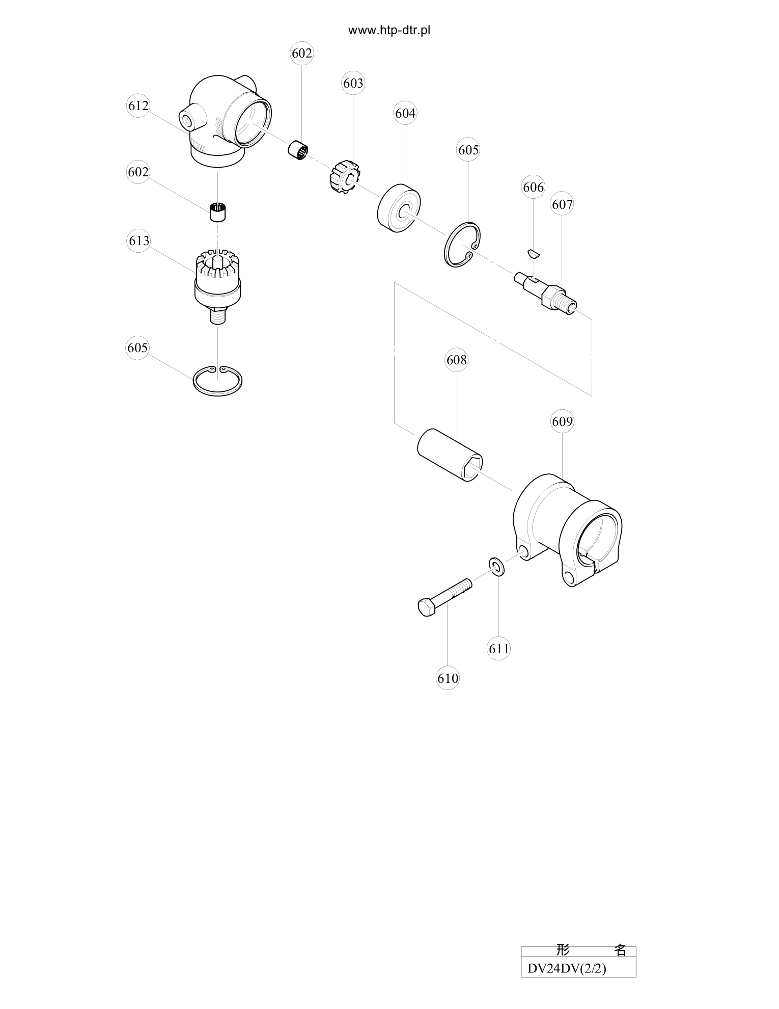 DV24DV_page_01.jpg