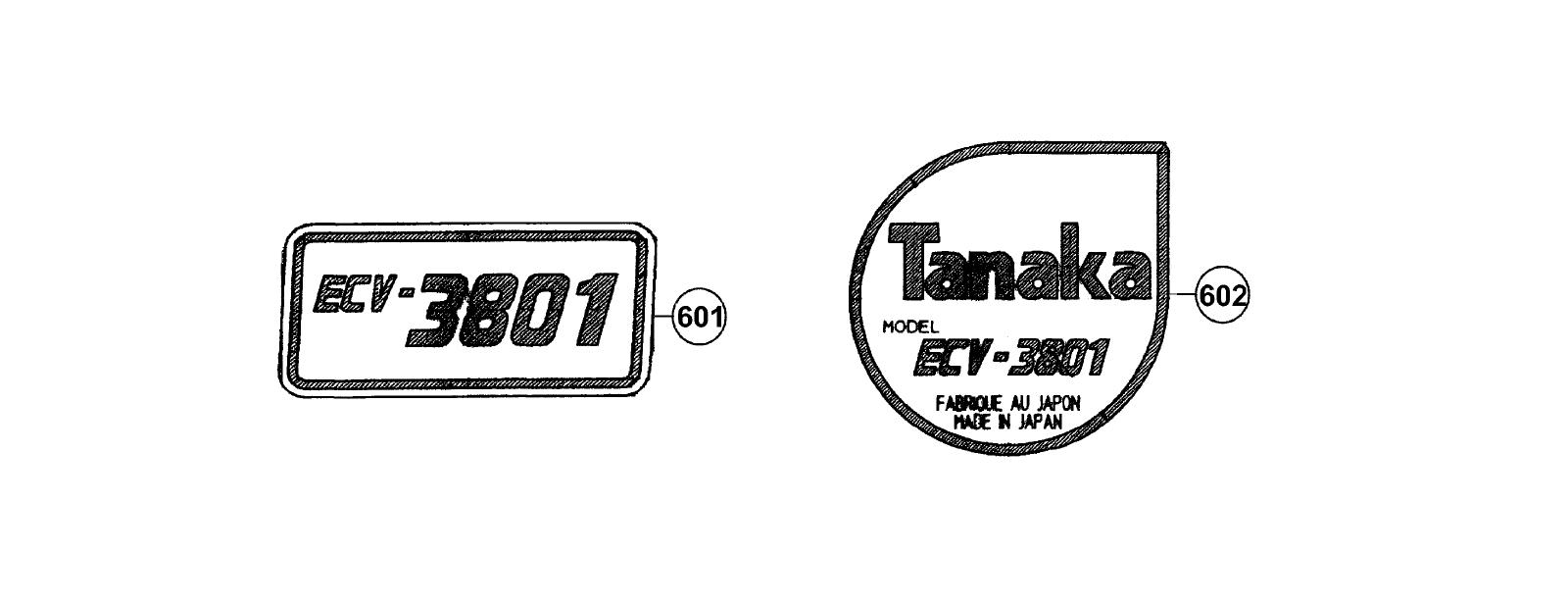 ECV-3801_page_10.jpg